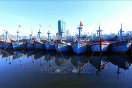 Localidad vietnamita lanza plan para lucha integral contra IUU