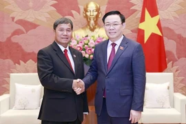 Parlamento vietnamita dispuesto a compartir experiencias con Laos