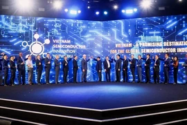 Lanzan Red de Semiconductores de Vietnam 