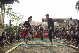 Impresionante Festival de la Flor de Ban en ciudad de Dien Bien Phu