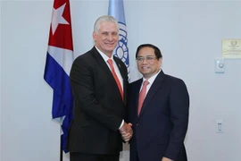 Vietnam busca mejorar lazos binacionales con países en el mundo