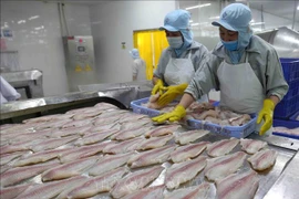 Ventas de pescado Tra vietnamita a EE.UU. reportarán señales positivas a finales de año