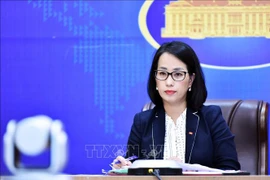 Vietnam coopera con proceso de identificación de cuerpos varados en el mar de Taiwán 