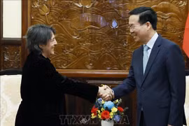 Presidente vietnamita aprecia relaciones fructíferas con España