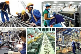 Recursos humanos calificados: núcleo para recuperación sostenible del mercado laboral 