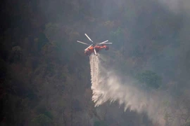 Incendios forestales amenazan parque nacional en Tailandia