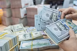 Vietnam emite nuevas normas de compra, transferencia y traslado de divisas al exterior 