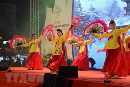 Festival Vietnam-Corea del Sur destacará amistad bilateral