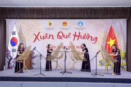Vietnamitas en extranjero celebran fiestas por motivo del Tet