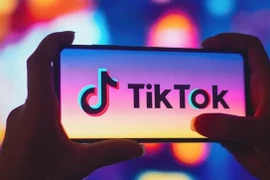 Inspeccionarán las actividades de Tik Tok en Vietnam 