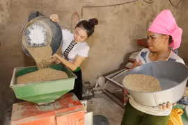 Más de 1,9 millones de hogares vietnamitas aún luchan contra la pobreza