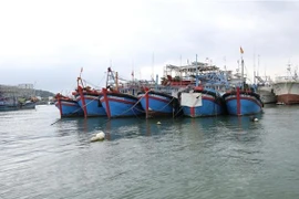Provincia vietnamita por explotar 124 mil toneladas de productos marítimos en 2023