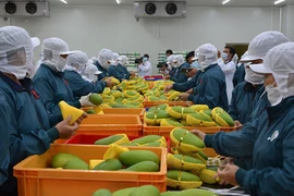 Vietnam con perspectivas de exportar productos agrícolas orgánicos a Europa 