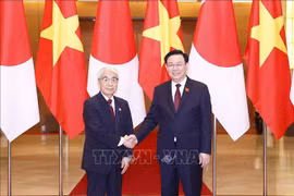 Presidente de la Cámara de Consejero de Japón concluye visita a Vietnam