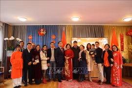Vietnamitas en extranjeros celebran el Año Nuevo Lunar