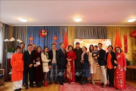 Vietnamitas en extranjeros celebran el Año Nuevo Lunar