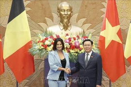 Vietnam y Bélgica fomentan cooperación multifacética