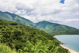 Vietnam, destino atractivo para viajar en ocasión de nuevo año