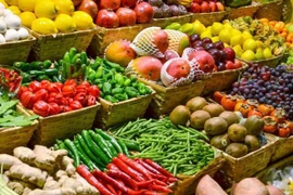 Vietnam por impulsar productos agrícolas a Unión Europea 