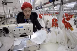 Vietnam, un destino atractivo para países nórdicos