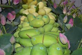 Exportaciones de Dong Thap registran un crecimiento récord en 2022