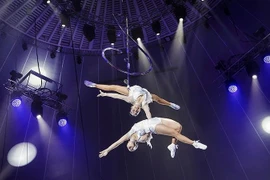 Trabajan por llevar circo vietnamita a la arena internacional