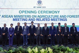 Vietnam desempeña papel activo en cooperación agrícola de ASEAN