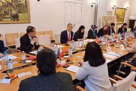 Comité de ASEAN en Berlín celebra su sexta reunión 