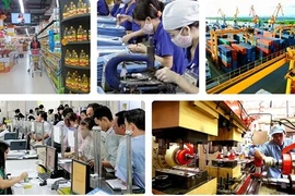 Cantidad de empresas nuevas establecidas en Vietnam disminuye 18,3 por ciento