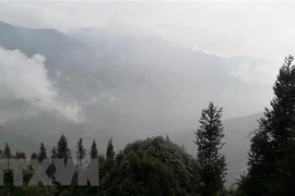 “Caza de nubes” en el norte de Vietnam: experiencia inolvidable para turistas