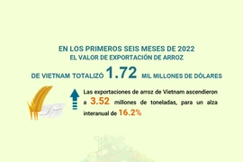 Ingresa Vietnam fondo multimillonario por exportación de arroz en seis meses