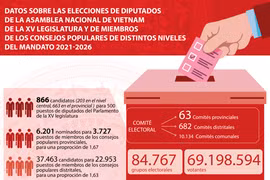 Datos principales sobre elecciones parlamentarias de XV legislatura en Vietnam