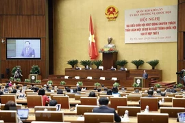 Máximo dirigente partidista de Vietnam asiste a reunión de diputados a tiempo completo