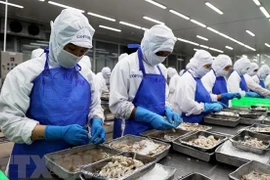 Desarrollo integral de mercado laboral: una de las prioridades de Vietnam