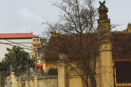 Aldea Cu en los suburbios de Hanoi: lugar donde se conservan arquitectura antigua