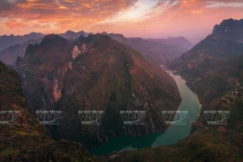 Instantáneas impresionantes sobre la naturaleza vietnamita