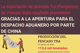 Exportación de pescado Tra de Vietnam logra resultado prometedor 