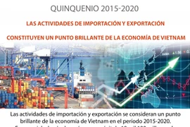 Actividades de importación y exportación: punto brillante de economía vietnamita