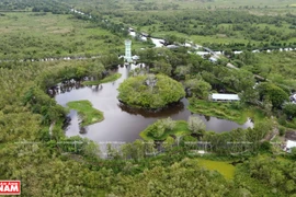 Parque nacional U Minh Thuong de Vietnam: destino fascinante para turistas