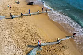 Contemplar un día de trabajo de los pescadores vietnamitas de Da Nang