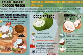 Exportaciones de coco fresco: Nuevo aliciente para la economía de Vietnam