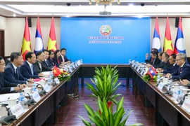 Panorama de la cita (Foto: Ministerio de Relaciones Exteriores de Vietnam)