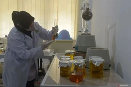 Indonesia aspira a convertirse en el centro de investigación clínica del sudeste asiático (Fuente: https://en.antaranews.com)