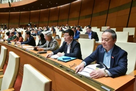 Diputados en la Asamblea Nacional de Vietnam (Foto: VNA)