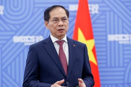 El viceprimer ministro y titular de Relaciones Exteriores de Vietnam, Bui Thanh Son (Foto: VGP)