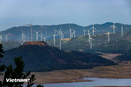 Vietnam ha eliminado el consumo equivalente a 220 millones de toneladas de CO2 (Fuente: Vietnam+)