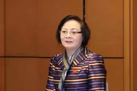 La ministra del Interior de Vietnam, Pham Thi Thanh Tra (Foto: VNA)