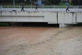 En Singapur (Foto: StraitsTimes)