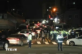 La policía radica en las afueras de la Residencia Presidencial de Corea del Sur (Foto: Yonhap)