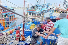 Barcos pesqueros en el puerto Tinh Ky, provincia de Quang Ngai (Foto: VNA)